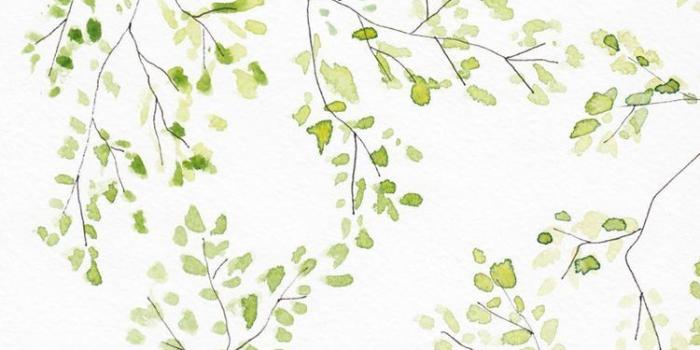 750x1330 iPhone Wallpaper | Botany, Leaf, Pedicel, Branch, Plant, Wallpaper