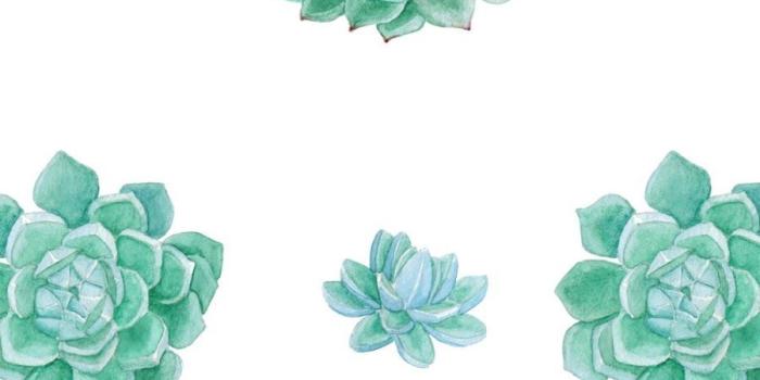 900x1600 Stay Green! #plants #artwork | Succulents wallpaper