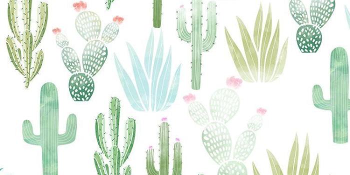 750x1334 Cute Iphone Background - Cactus Phone Background - 750x1334