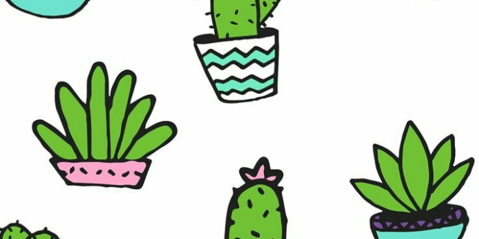 720x1280 flowers, wallpaper, cute and plant - image #6126507 on Favim.com