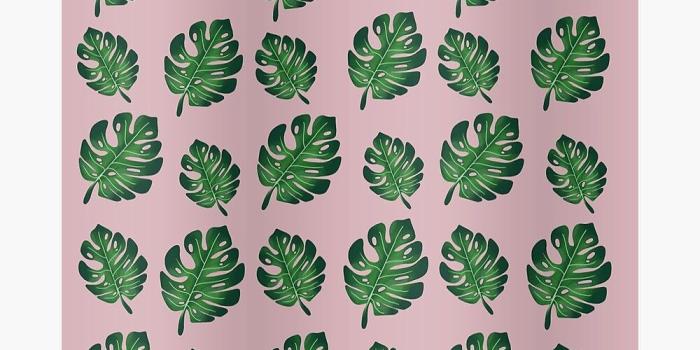 1000x1000 Aesthetic cute green plant wallpaper