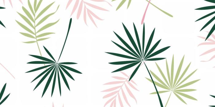 1242x2208 iPhone Wallpaper | Leaf, Green, Pattern, Plant, Botany, Tree