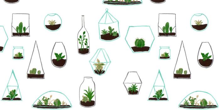 1280x1810 Clip.Cookdiary.net - Drawn Wallpaper succulent 15 - 1280 X 1810