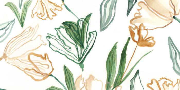 1856x1161 Plant Desktop Wallpaper posted by Samantha Tremblay