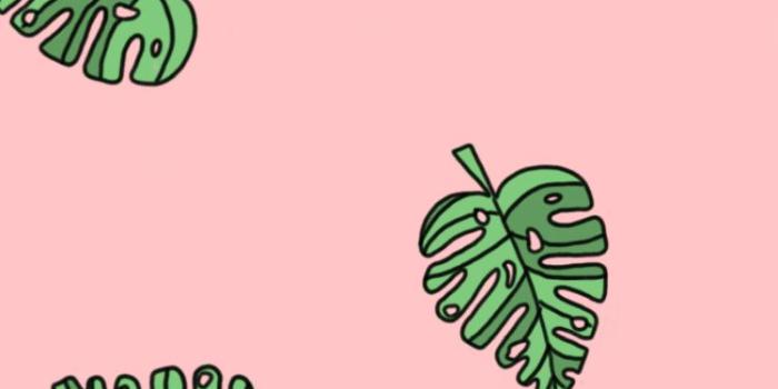 750x1334 Cute vsco wallpapers-201 – Iphone wallpaper