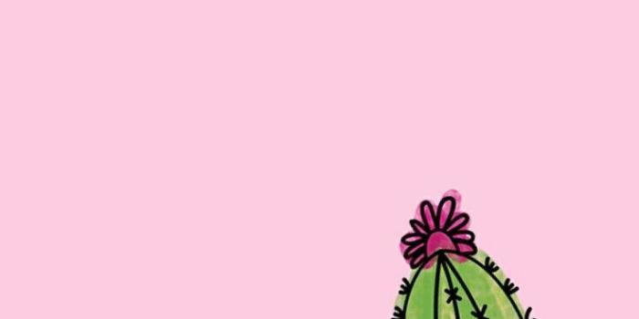 736x1308 iPhone Wallpaper | Cactus, Plant, Pink, Flower, Saguaro, Magenta