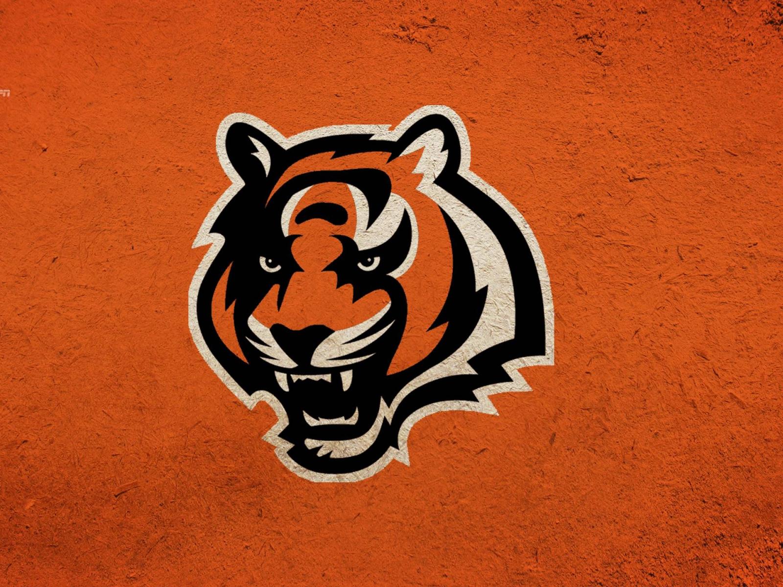 1920x1440 Cincinnati Bengals Wallpapers
