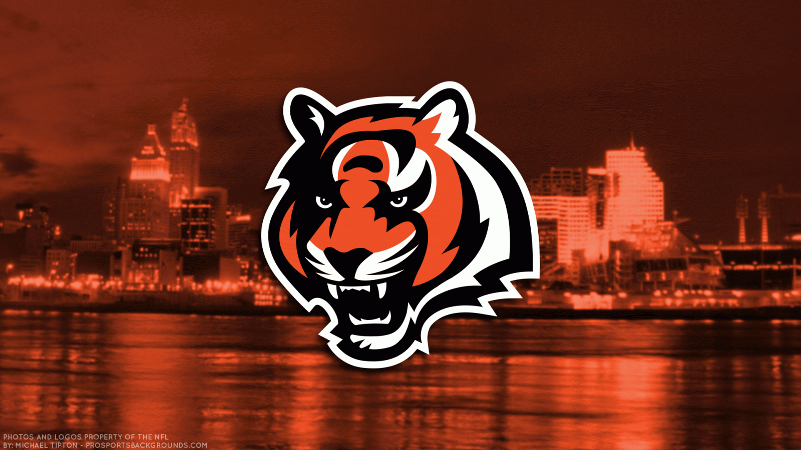 1920x1080 Bengals Laptop Wallpapers - Top Free Bengals Laptop Backgrounds