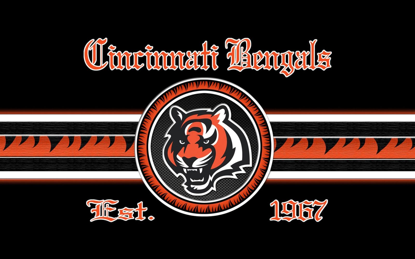 2560x1600 Download Free Cincinnati Bengals Backgrounds