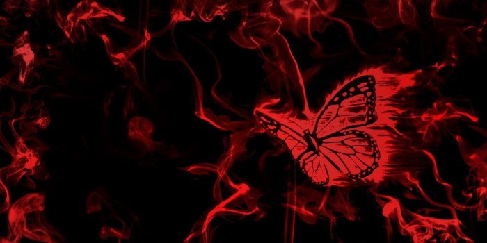 1920x1080 Red Butterfly Wallpaper - Anime Wallpapers Black Red, Hd