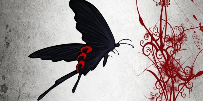 1920x1200 65+ Black Butterfly Wallpapers on WallpaperPlay