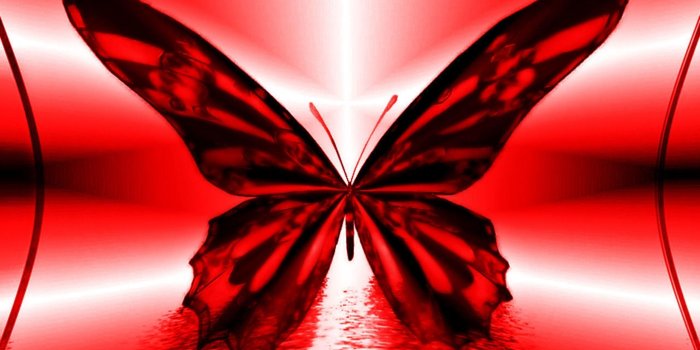 2560x1600 Abstract Red Butterfly | Red butterfly, Abstract, Butterfly wallpaper