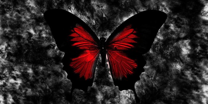 1500x1200 butterfly images | Crimson Butterfly - Dark and Gothic wallpapers