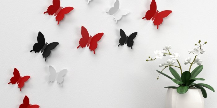 2000x2000 65+ Black Butterfly Wallpapers on WallpaperPlay