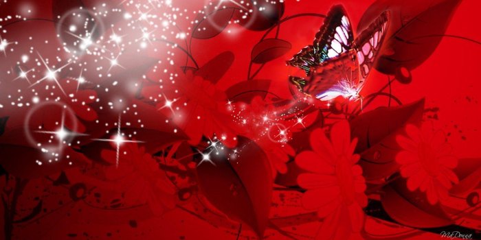 1920x1080 Red Butterfly Wallpapers