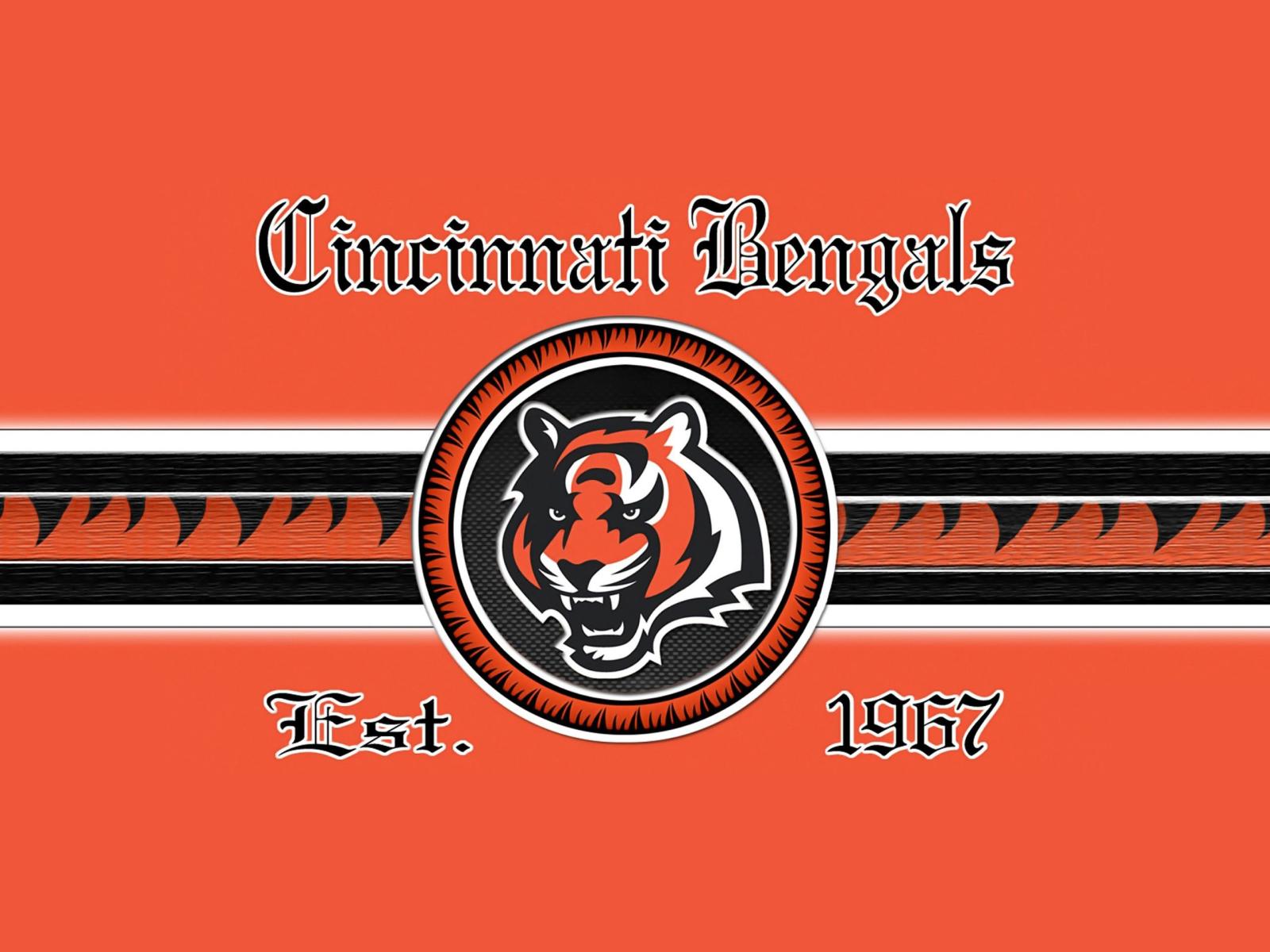 2560x1920 HD Cincinnati Bengals Photo Background Photos 1080p Windows