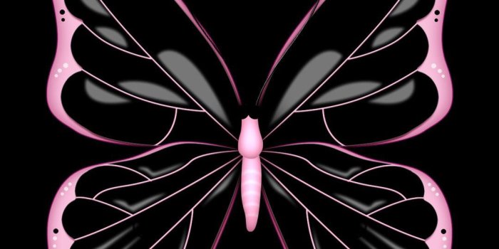 1080x1920 Red Butterfly Wallpaper posted by Sarah Sellers