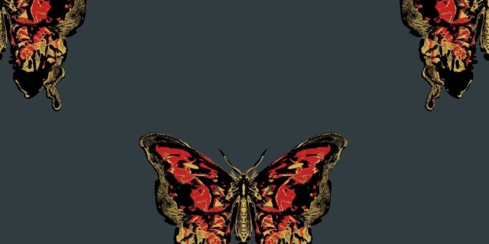 1200x1798 Timorous Beasties Wallcoverings - Butterfly Hand Printed wallpaper