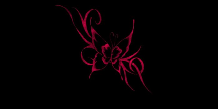 1366x787 pink And black butterfly - My 