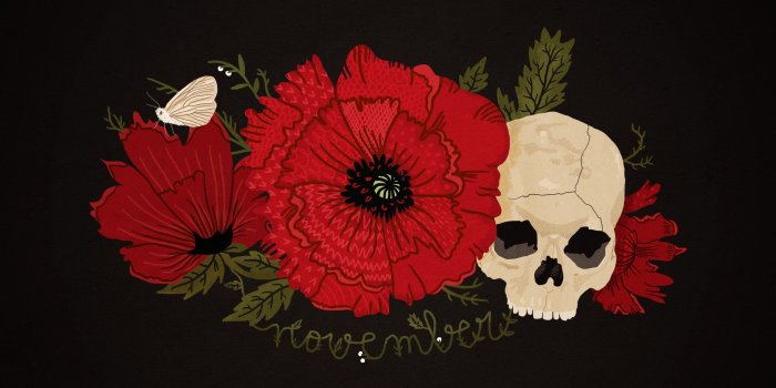 2560x1440 black, Red, Poppy, Skull, Butterfly, Flower, November Wallpapers