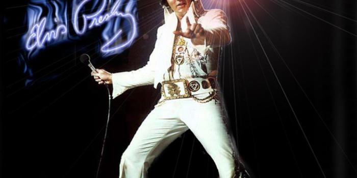 1024x768 Elvis Wallpapers Free