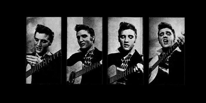 1024x768 Elvis Wallpapers Free