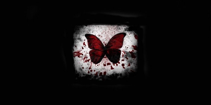 1600x1010 Funny Image Collection: Images for Red butterfly wallpaper!
