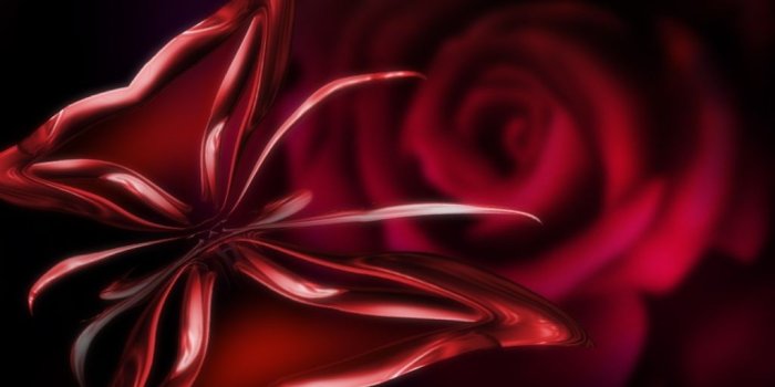 1024x768 Free download Red Butterfly Wallpaper HD wallpapers Vector Red