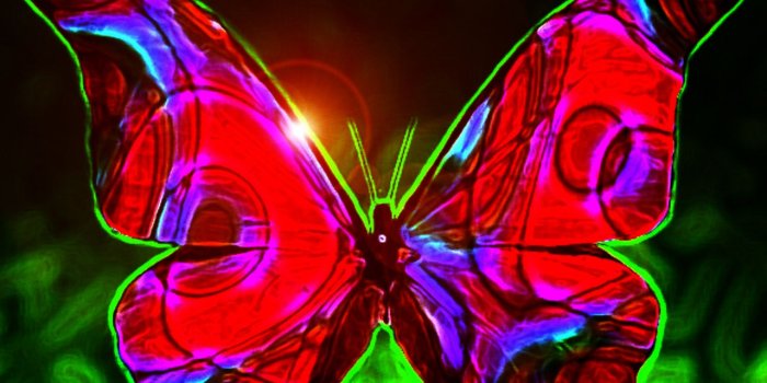 1280x1024 unique animal wallpapers: Butterfly wallpaper designs