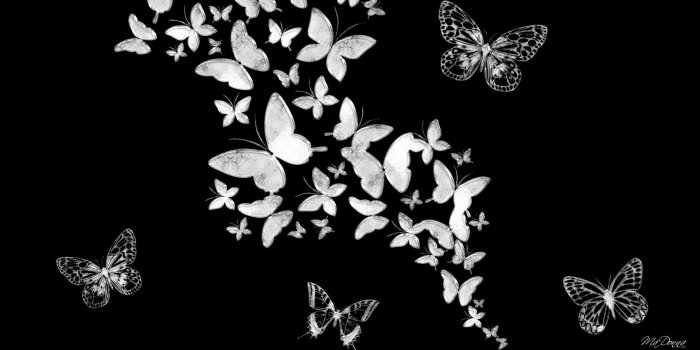 1920x1080 Free Creative Black Butterfly Images on your Ipad