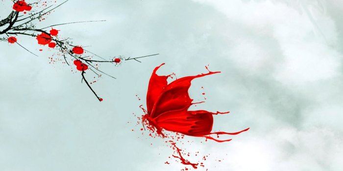 1920x1200 Black Butterfly Wallpaper (68+ images)