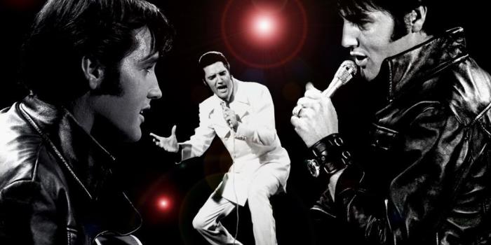 1024x768 50+] Elvis Presley Wallpapers and Screensavers on WallpaperSafari