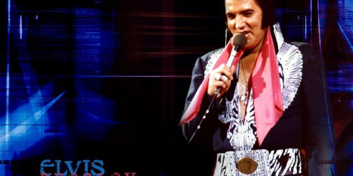 1024x768 Elvis Wallpaper ♥ - Elvis Presley Wallpaper (41384784) - Fanpop