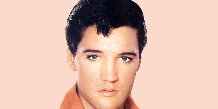 1024x768 Tami Holman: elvis wallpaper hd