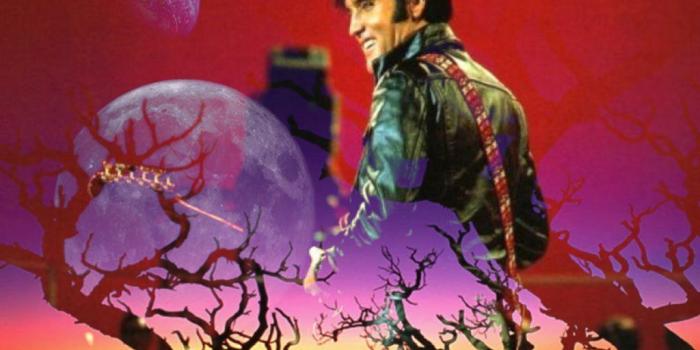 1024x768 76+] Elvis Presley Wallpapers on WallpaperSafari