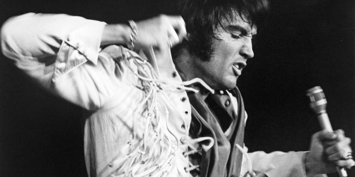 1920x1200 Elvis Wallpaper 1900x1200 : Elvis