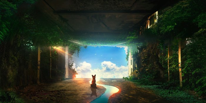 2560x1440 7680x4320 Dog Post Apocalyptic 8K Wallpaper, HD Artist 4K