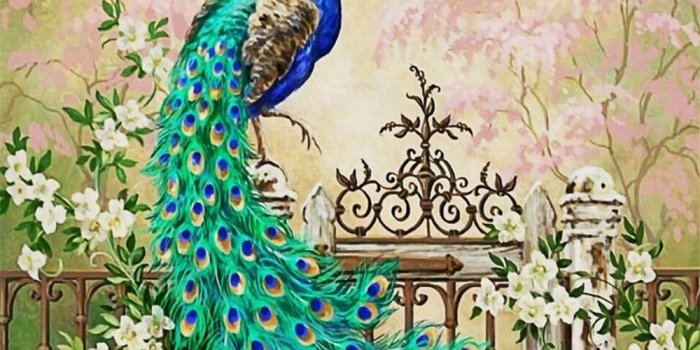 1000x800 Beibehang Custom large wallpaper Peacock European oil painting