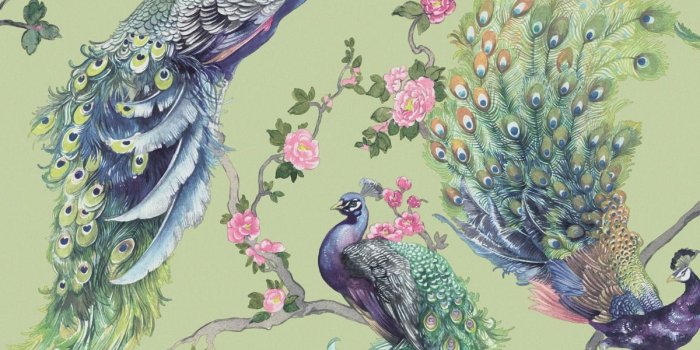 1200x1200 Menali Peacock Wallpaper Green Holden 35921