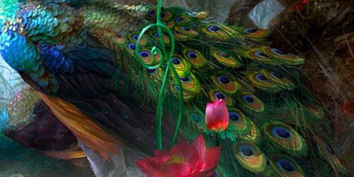 1080x1920 Peacock iPhone X Wallpaper | 2020 3D iPhone Wallpaper