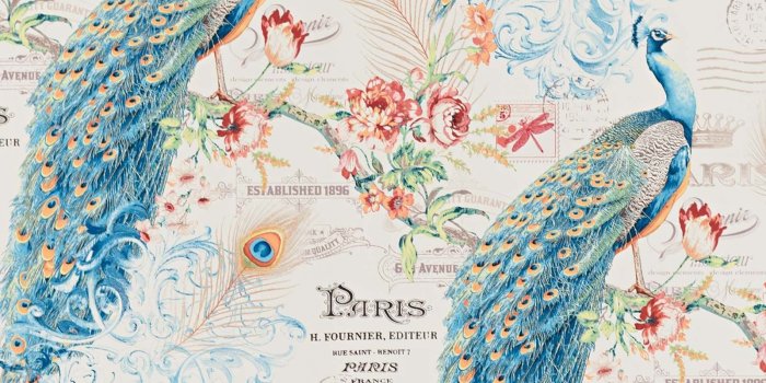 1600x1600 Peacock Wallpaper Paris French letter butterfly stamp - Gloss