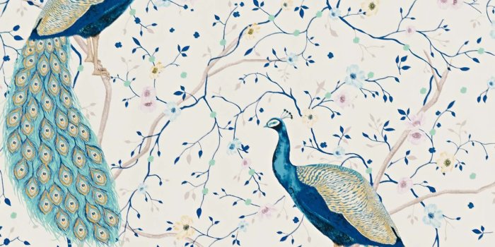 1600x1600 Peacock Wallpaper flower garden - Gloss Finish – Swanky Babs
