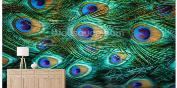 1000x800 Custom peacock wallpaper,Colorful peacock feathers fresco for