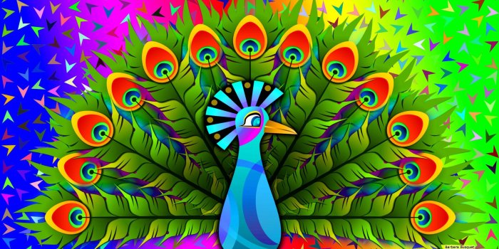 2560x1440 Peacock Wallpapers - Top Free Peacock Backgrounds - WallpaperAccess
