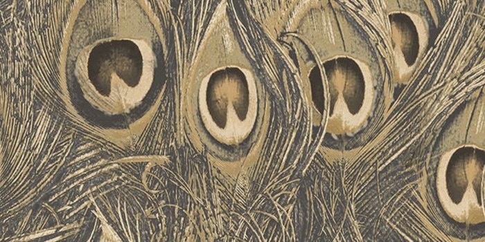 1280x1280 Norwall Manor House MH36521 Peacock Wallpaper Metallic Gold, Ochre