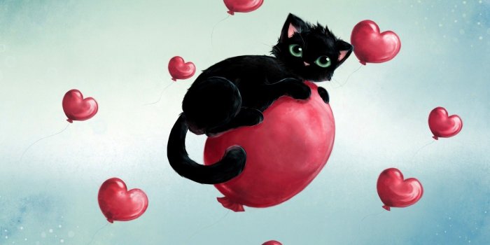 1869x1051 cat balloons black cats hearts Wallpapers HD / Desktop and Mobile