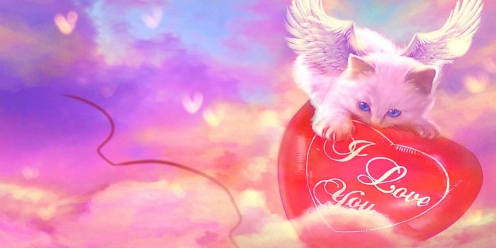 1332x850 Wallpaper cat, the inscription, wings, hearts, I love you, balloon