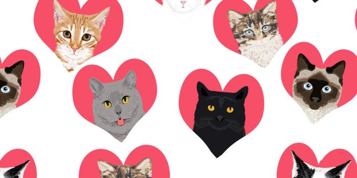 1000x1000 Pin on Wallpaper & Fabric