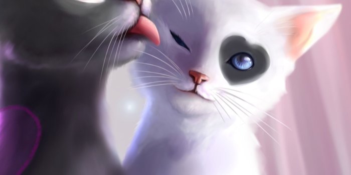 2048x2048 Romantic Love Cats iPad Air Wallpapers Free Download