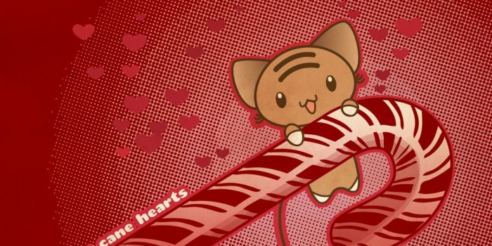 1536x864 Free download Candy Canes images candy cane cat HD wallpaper and